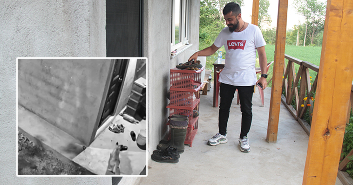 Kapı önünden kaybolan ayakkabıların tilki böyle çaldı