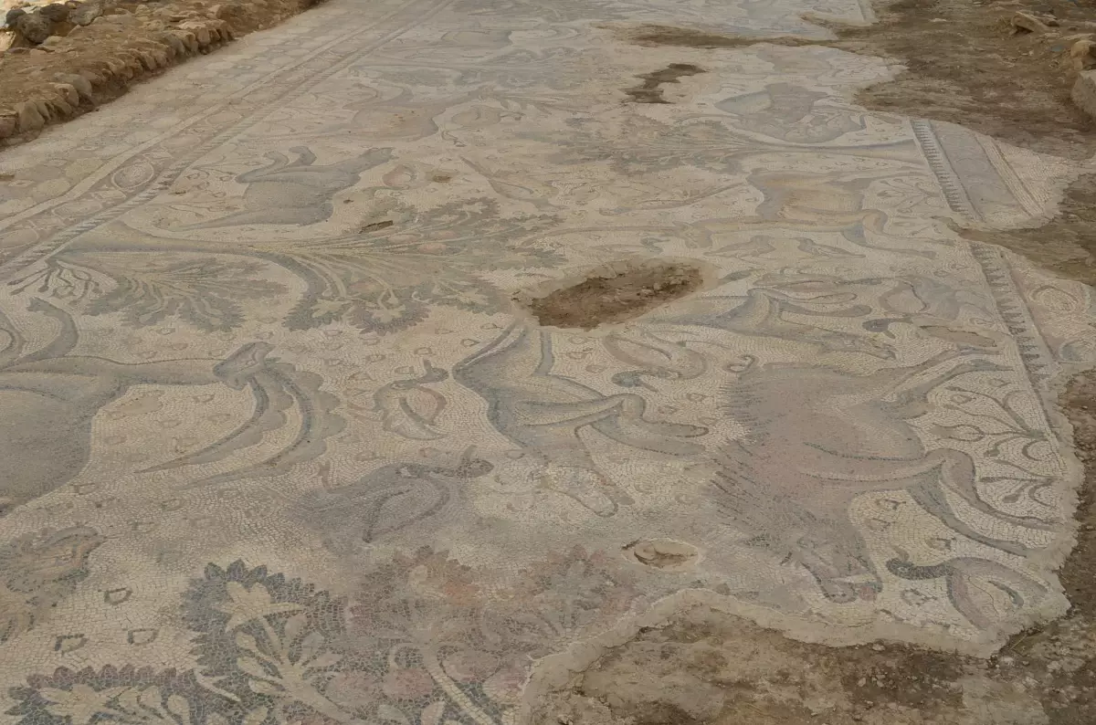 Elazığ’da Antik Roma Mozaiği Keşfi