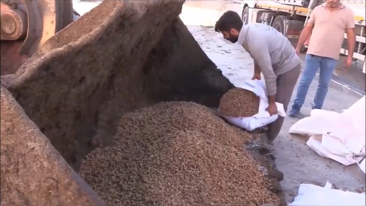 Şanlıurfa’da Suriye’den gelen tırda 79 ton ceviz içi ele geçirildi